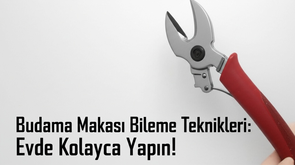 Budama Makası Bileme Teknikleri: Evde Kolayca Yapın!